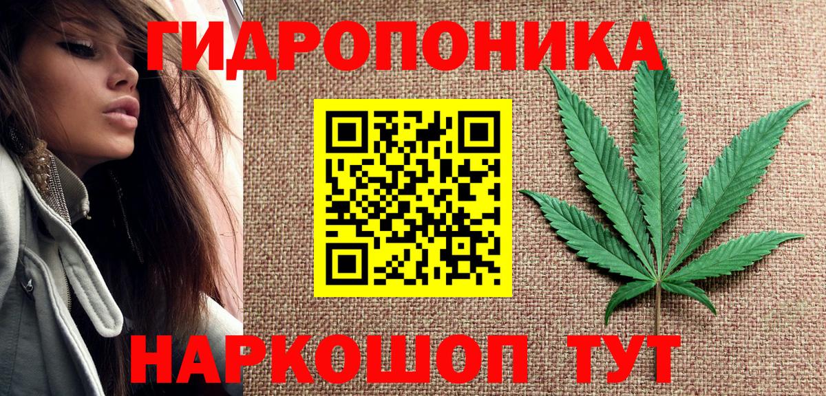 Канабис конопля Бор